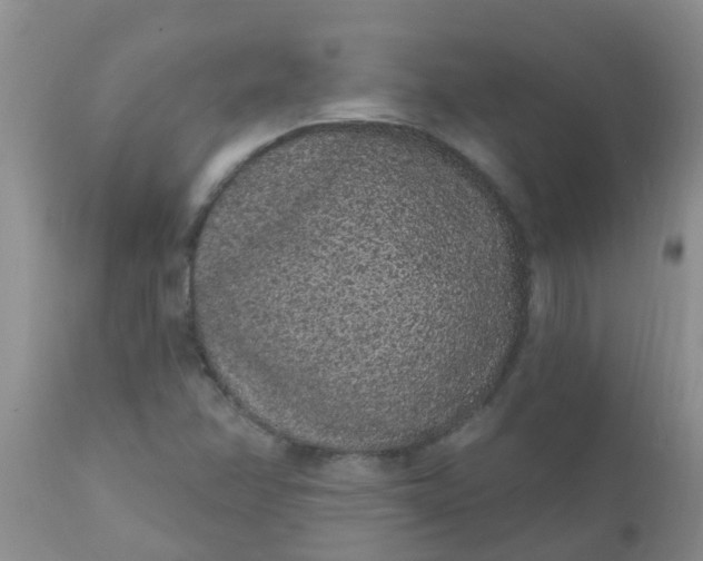 X0000110961358200907022211