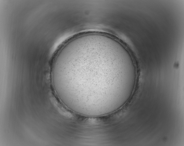 X0000110961360200907022211