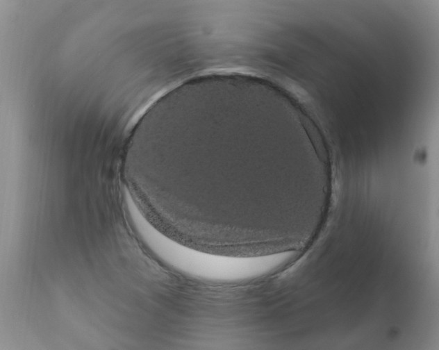 X0000110961361200907022211