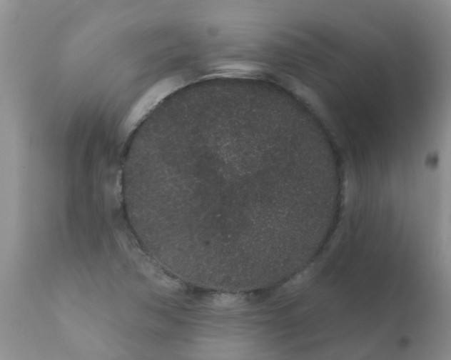 X0000110961362200907022211