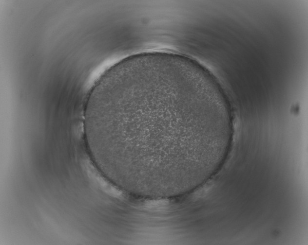 X0000110961363200907022211