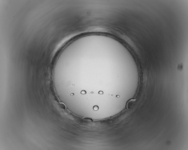 X0000110961364200907022211