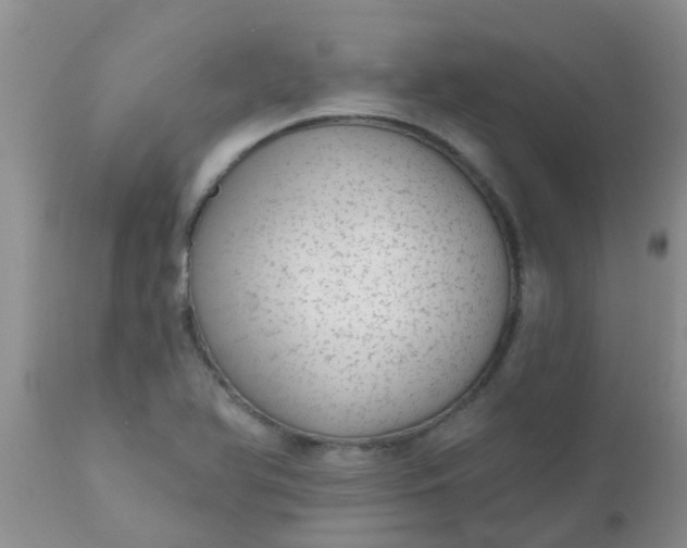 X0000110961366200907022211