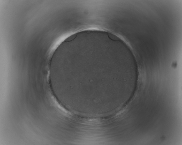 X0000110961367200907022211