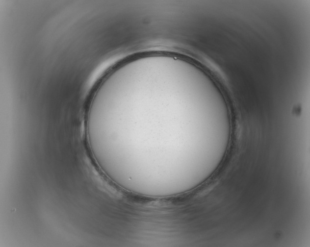 X0000110961368200907022211