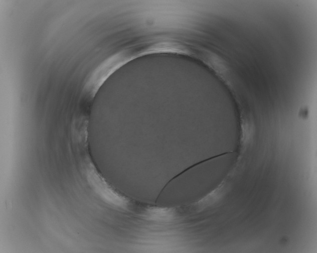 X0000110961369200907022211