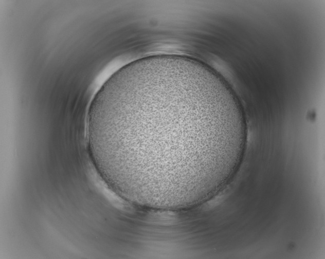 X0000110961370200907022211