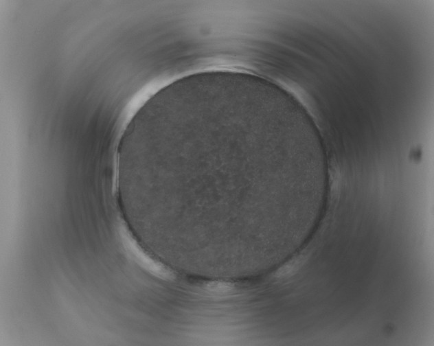 X0000110961371200907022211