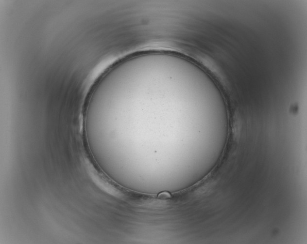 X0000110961372200907022211