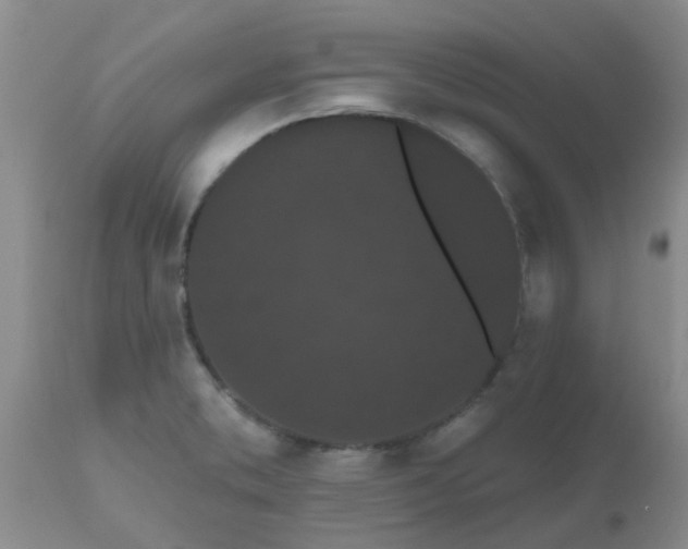 X0000110961373200907022211