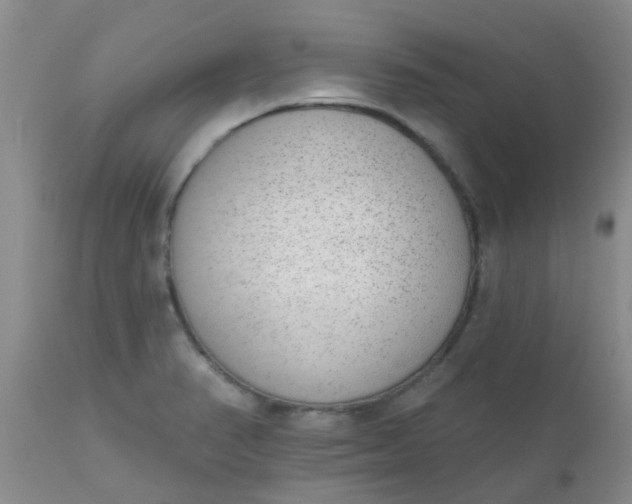 X0000110961374200907022211