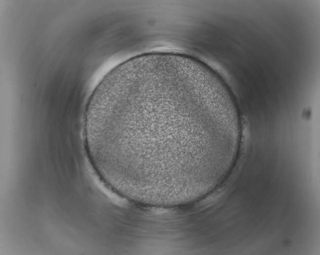 X0000110961375200907022211