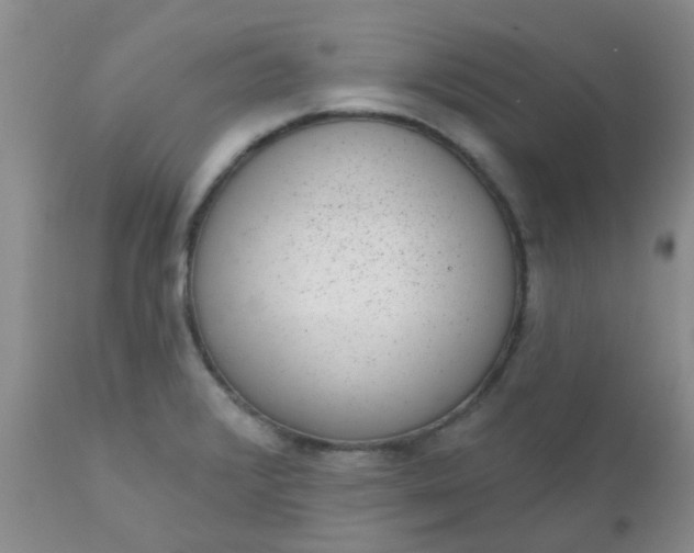 X0000110961376200907022211