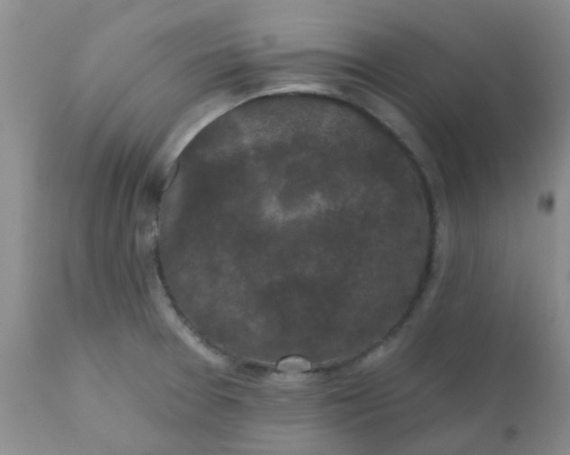 X0000110961377200907022211