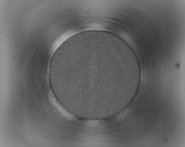 X0000110961378200907022211