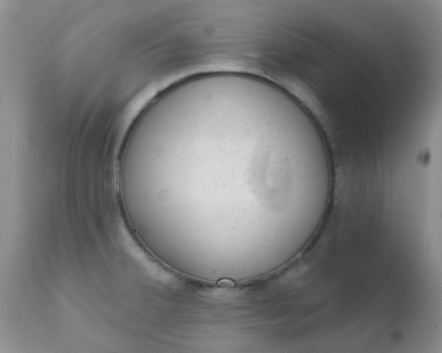 X0000110961380200907022211