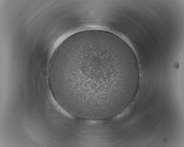 X0000110961381200907022211