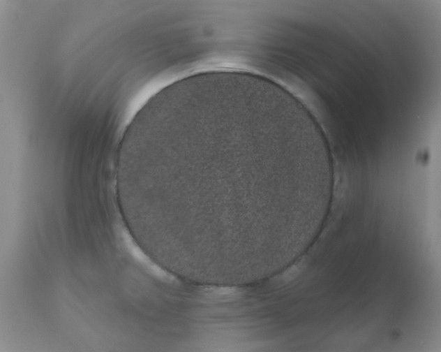 X0000110961382200907022211