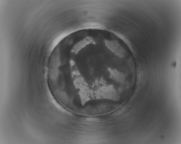 X0000110961383200907022211