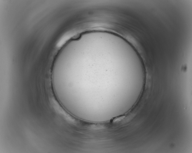 X0000110961384200907022211