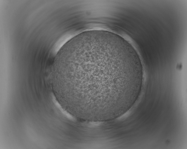 X0000110961385200907022211