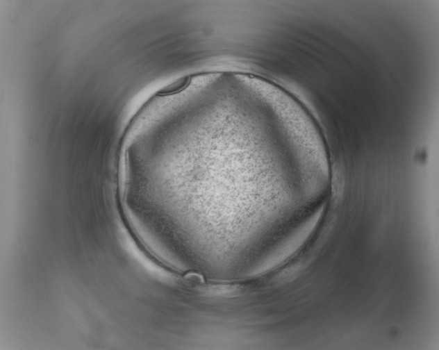 X0000110961387200907022211