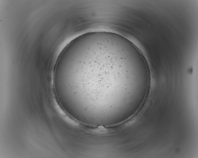 X0000110961388200907022211