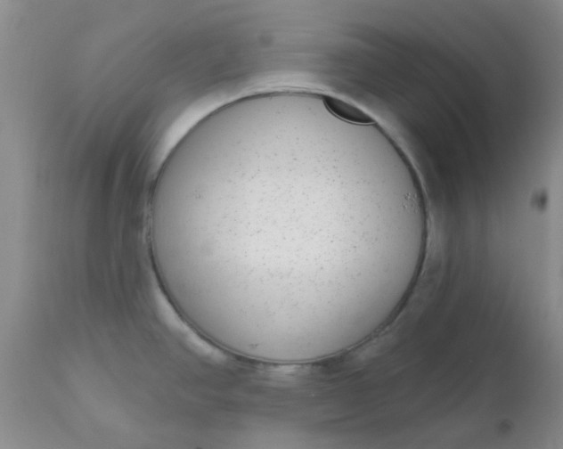 X0000110961390200907022211