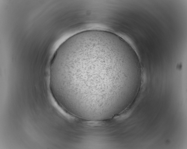 X0000110961391200907022211