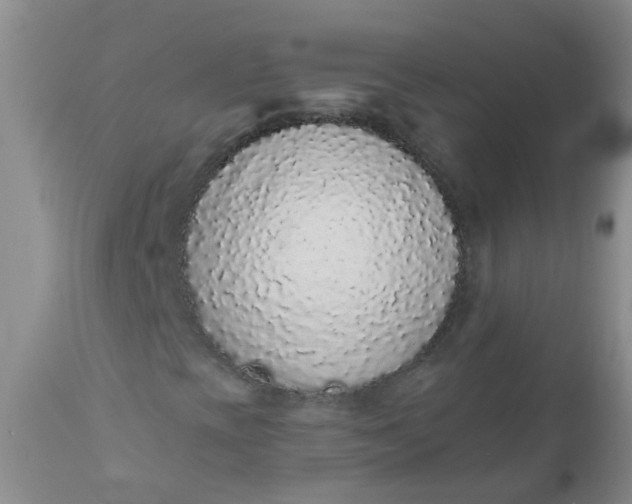 X0000110961393200907022210