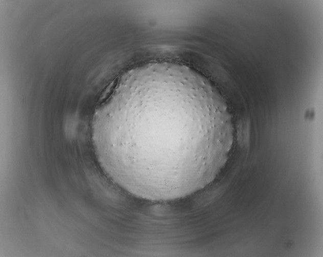 X0000110961395200907022210