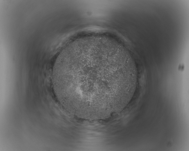 X0000110961397200907022210