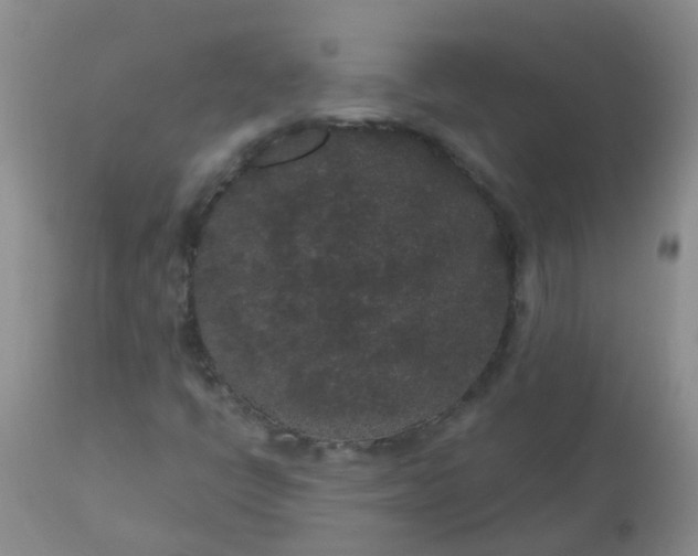 X0000110961398200907022210