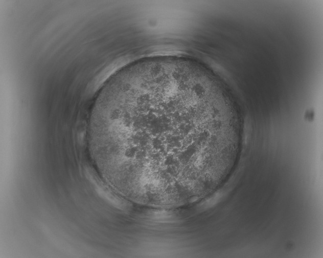 X0000110961401200907022210