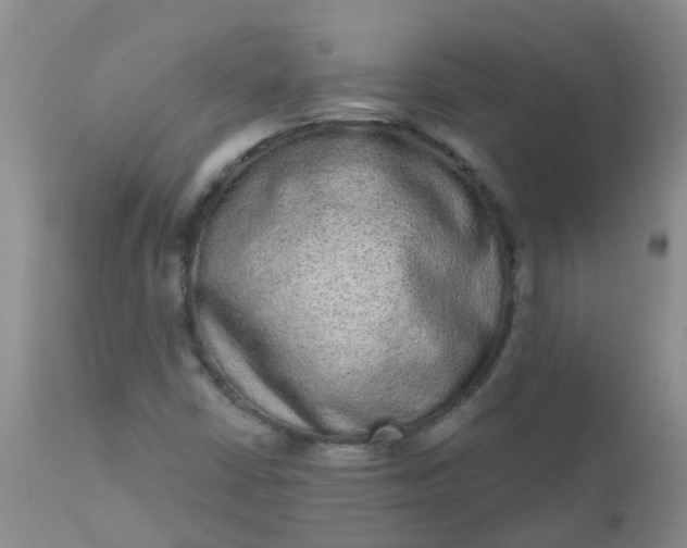 X0000110961402200907022210