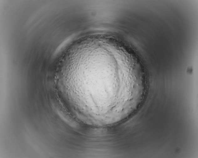 X0000110961403200907022210