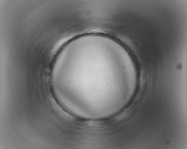 X0000110961404200907022210