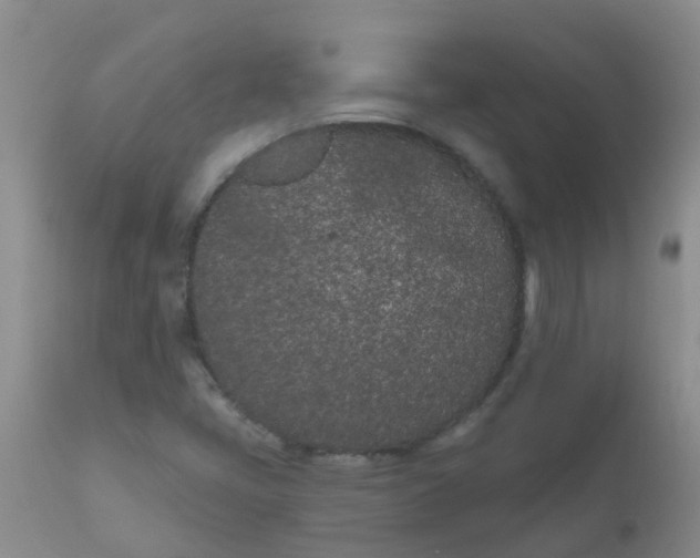 X0000110961405200907022210