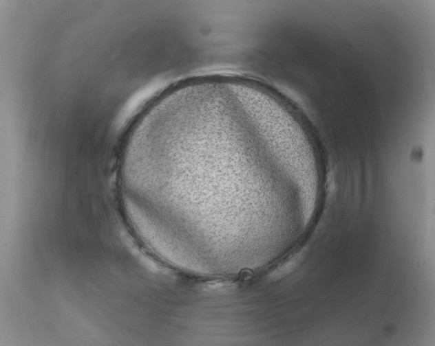 X0000110961406200907022210