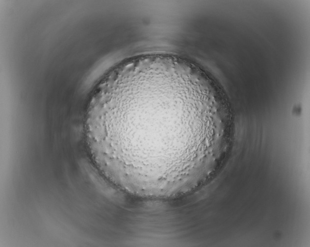 X0000110961407200907022210