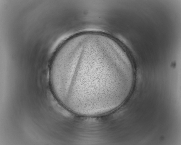 X0000110961408200907022210