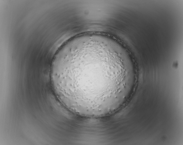 X0000110961409200907022210