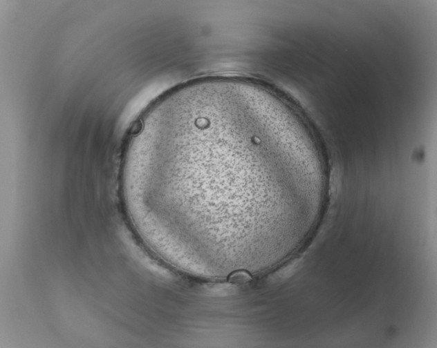 X0000110961410200907022210