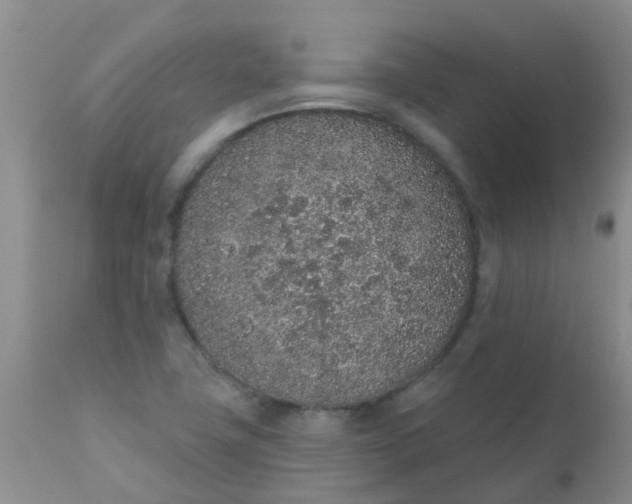 X0000110961411200907022210