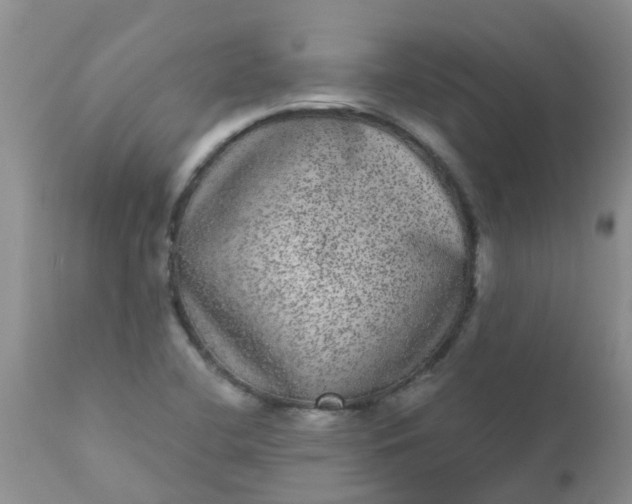 X0000110961412200907022210