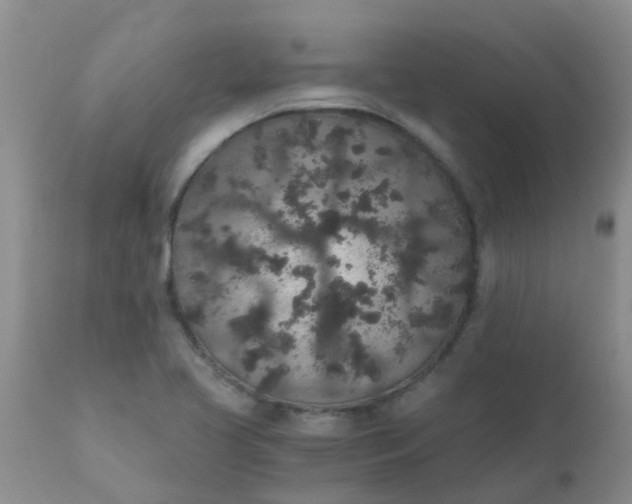 X0000110961413200907022210