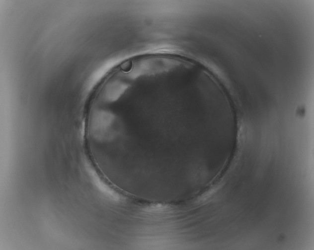 X0000110961414200907022210