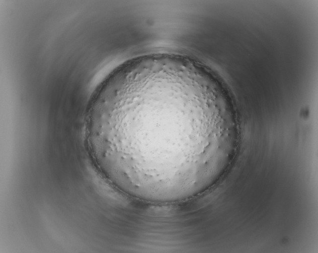 X0000110961415200907022210