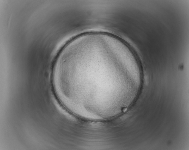 X0000110961416200907022210