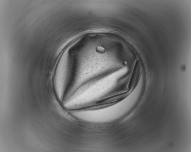 X0000110961417200907022210